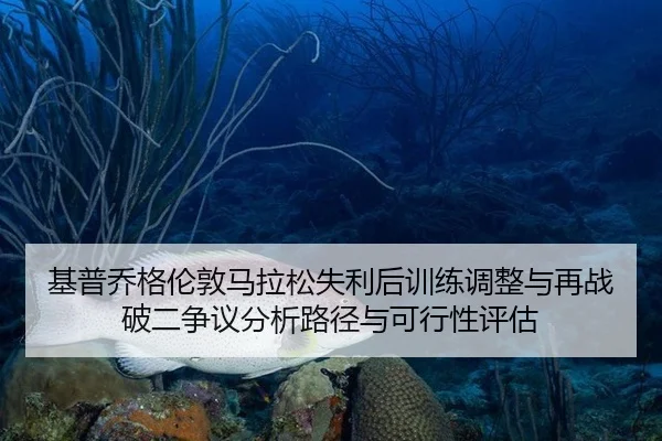 ji-pu-qiao-ge-lun-dun-ma-la-song-shi-li-hou-xun-lian-tiao-zheng-yu-zai-zhan-po-er-zheng-yi-fen-xi-lu-jing-yu-ke-xing-2-170.jpg