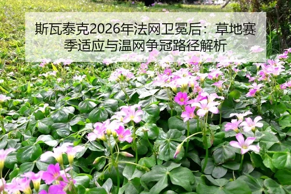 si-wa-tai-ke-nian-fa-wang-wei-mian-hou-cao-di-sai-ji-shi-ying-yu-wen-wang-zheng-guan-lu-jing-jie-xi-2-992.jpg