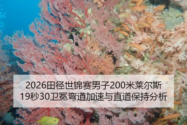 2026田径世锦赛男子200米莱尔斯19秒30卫冕弯道加速与直道保持分析