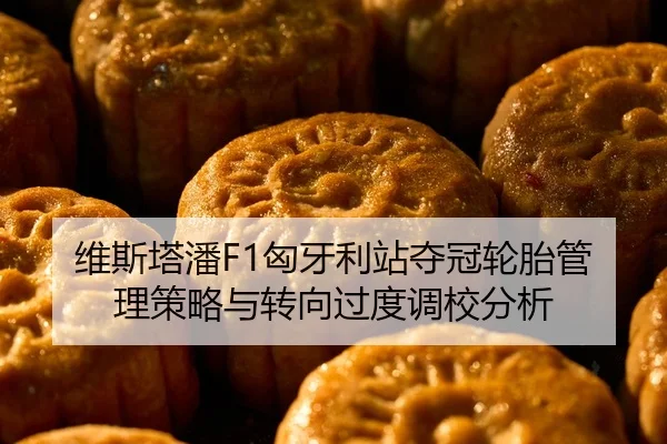 维斯塔潘F1匈牙利站夺冠轮胎管理策略与转向过度调校分析